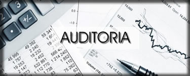 Auditoria Fiscal